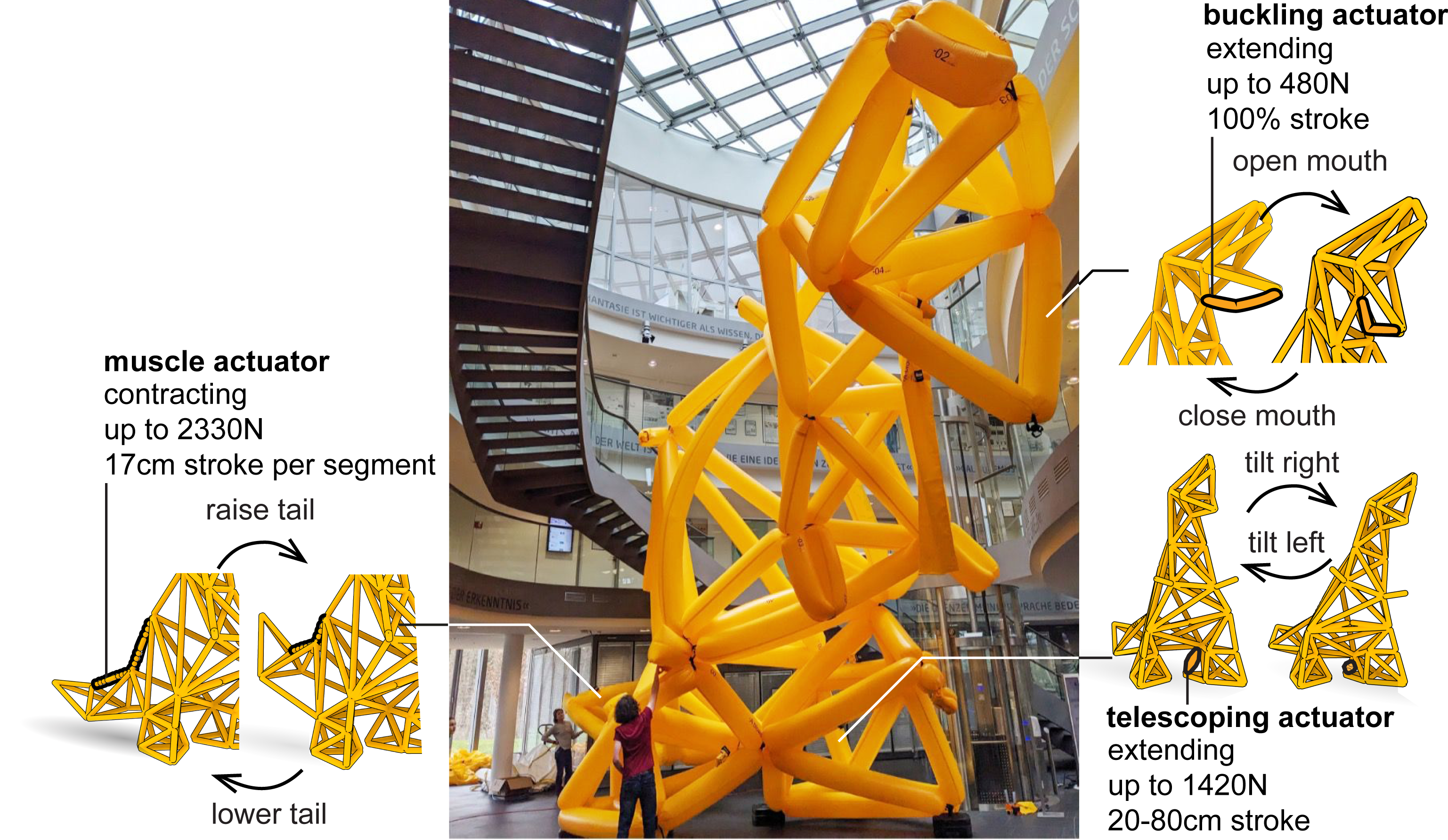 three types of actuators on the T-Rex model